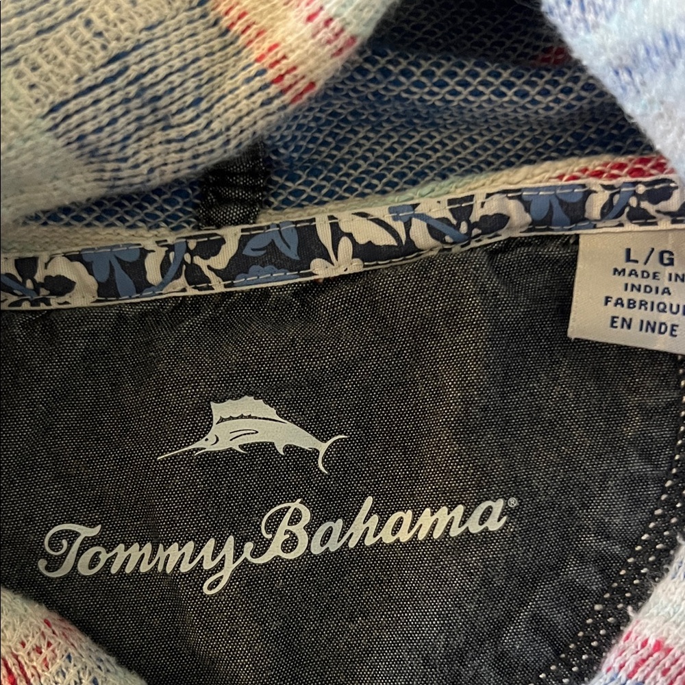Tommy Bahama Multicolor Striped Hoodie - Picture 2 of 3